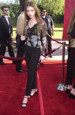 Michelle trachtenberg