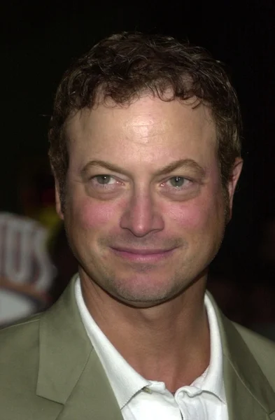 Gary Sinise — Foto Stock