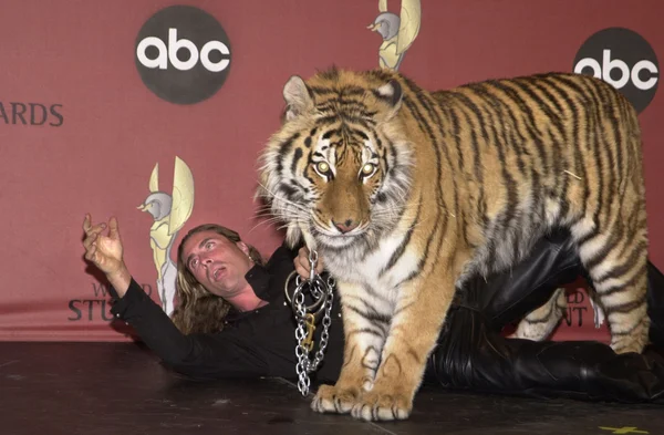 Randy Millerem i tara tygrysa — Zdjęcie stockowe