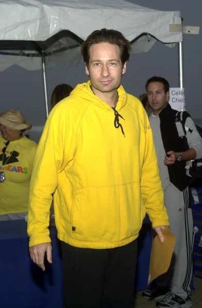 David Duchovny — Stock Photo, Image