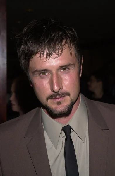 David Arquette — Stok fotoğraf