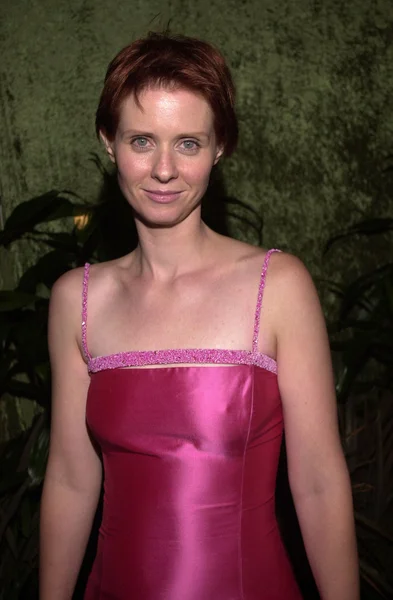 Cynthia nixon — Stockfoto