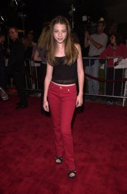 Michelle trachtenberg