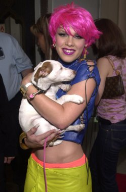pembe ve onu köpek pisliği