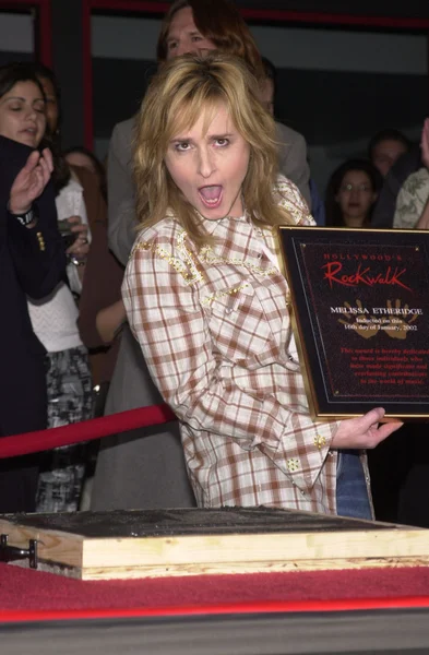 Melissa Etheridge — Fotografia de Stock