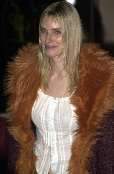 Aimee Mann — Stockfoto