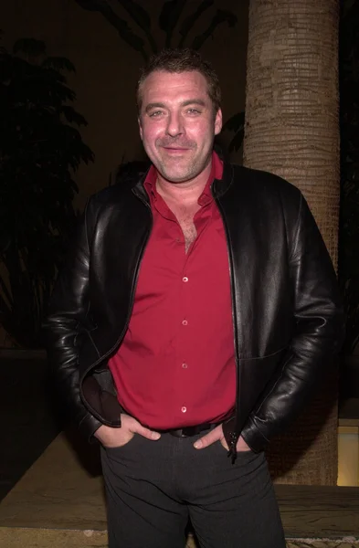 Tom Sizemore Ordförande — Stockfoto