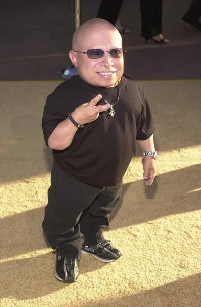 Verne Troyer — Stock Photo, Image