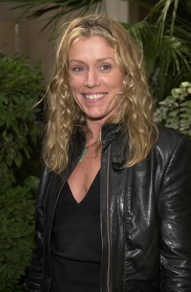 Frances Mcdormand — Stockfoto