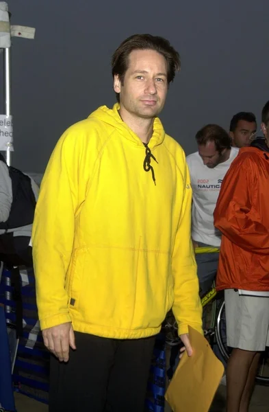 David Duchovny — Zdjęcie stockowe