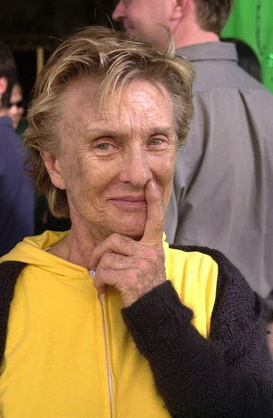 Cloris lixiviateur — Photo