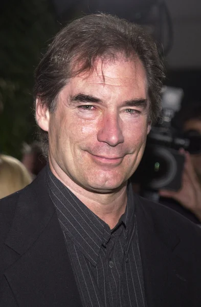 Timothy Dalton — Stockfoto