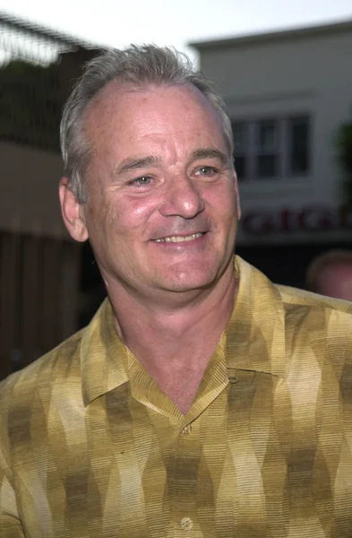 Bill Murray. — Fotografia de Stock