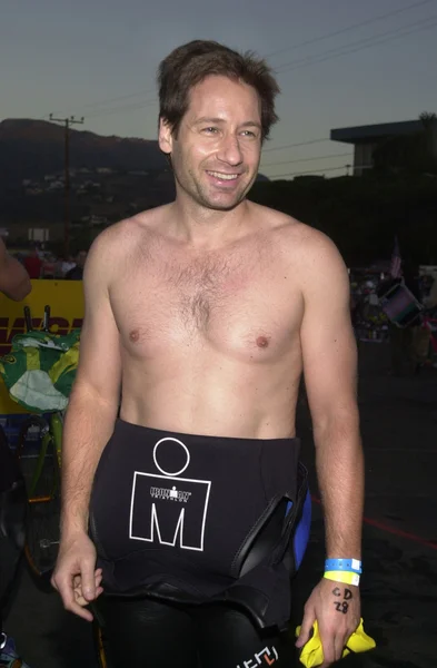 David Duchovny — Stok fotoğraf