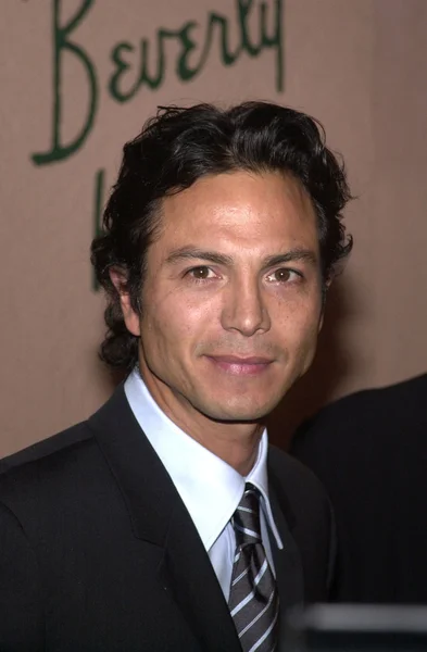 Benjamin Bratt — Stock fotografie