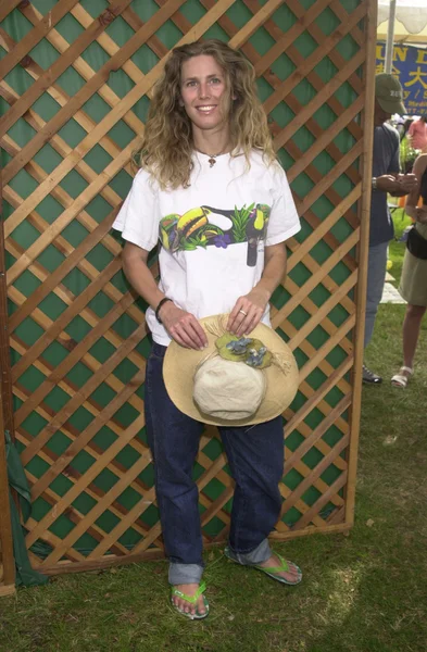 Sophie B. Hawkins — Stock Photo, Image