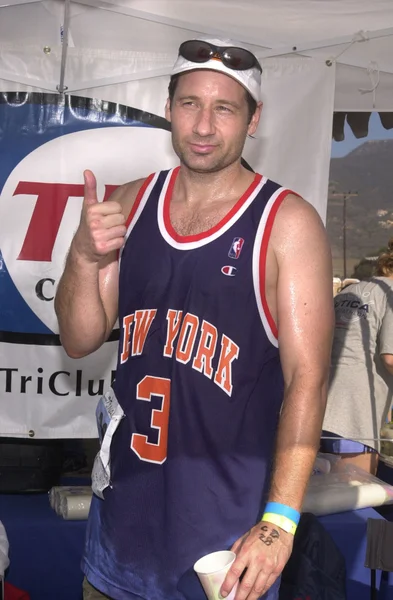 David Duchovny. —  Fotos de Stock