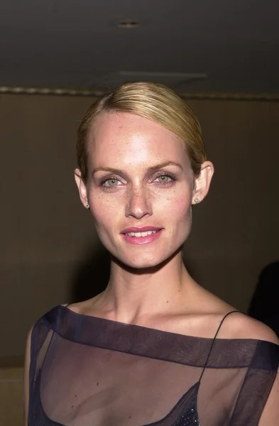 Amber Valletta — Stockfoto