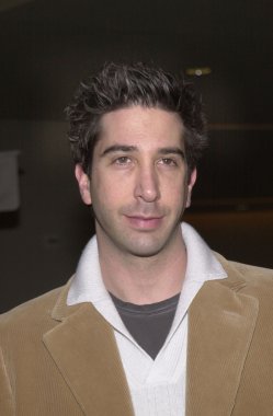 David Schwimmer
