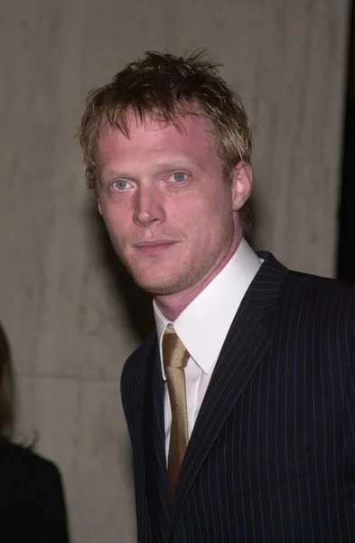 Paul Bettany. — Foto de Stock