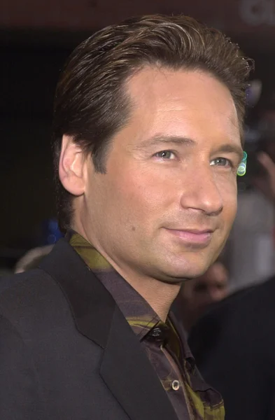 David Duchovny — Stockfoto