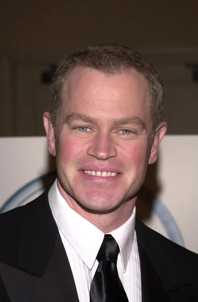 Neal Mcdonough — Stock fotografie