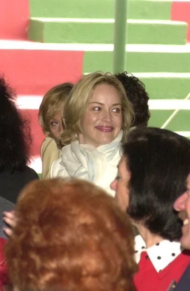 Sharon Stone — Stockfoto