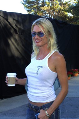 Nicolette Sheridan