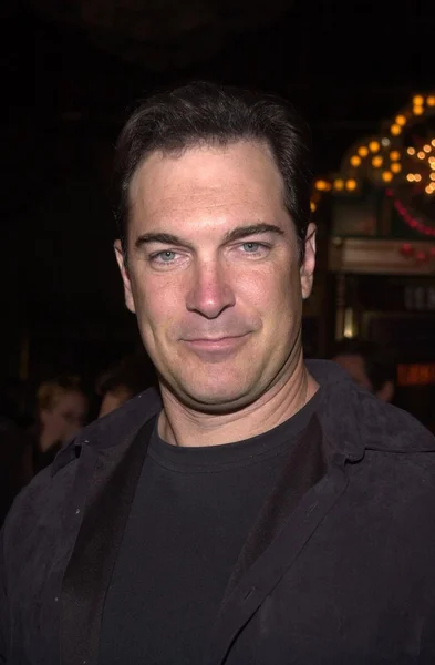 Patrick Warburton — Stok fotoğraf