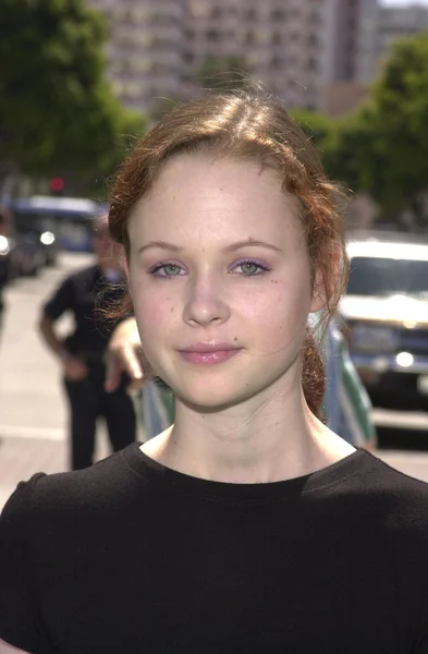 Thora birch — Zdjęcie stockowe