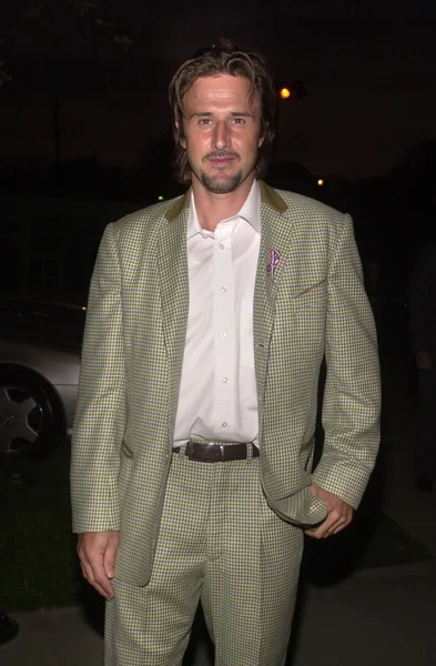 David Arquette — Stok fotoğraf