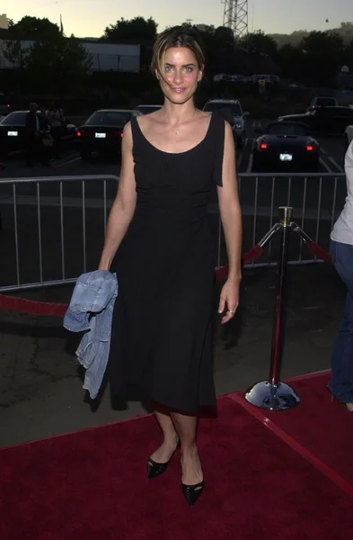 Amanda Peet — Stockfoto