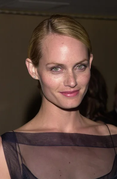 Amber Valletta — Zdjęcie stockowe