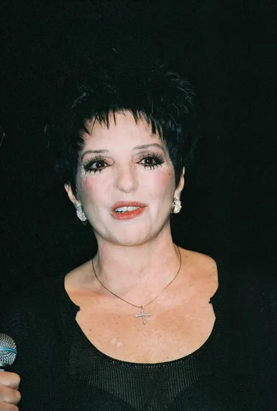 Liza Minnelli — Stock fotografie