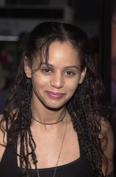 Persia White — Stock Photo, Image