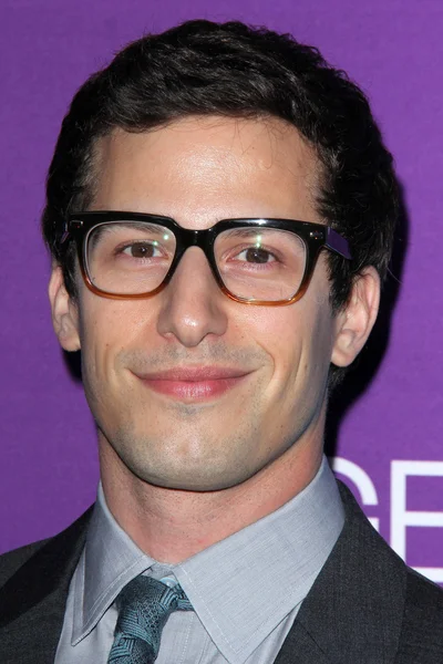 Andy Samberg — Φωτογραφία Αρχείου