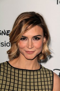 Samaire Armstrong clipart