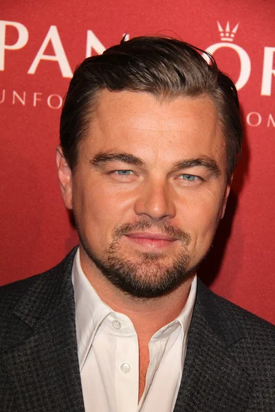 Leonardo DiCaprio — Stock Photo, Image