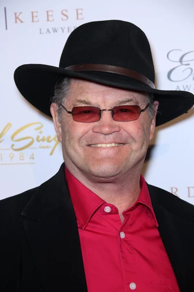 Micky Dolenz — Stockfoto