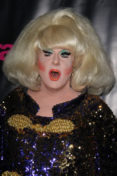 Lady Bunny. — Foto de Stock