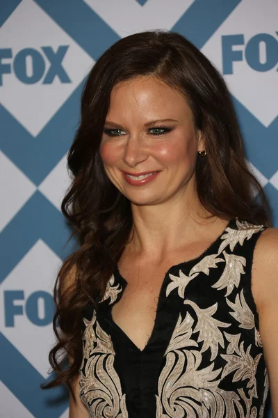 Mary lynn rajskub — Stockfoto