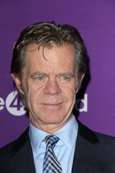 William H. Macy. — Stok fotoğraf