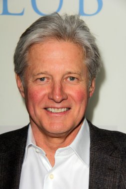 Bruce boxleitner