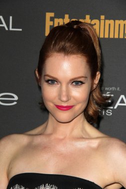Darby Stanchfield