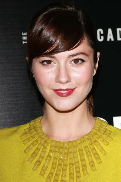 Mary Elizabeth Winstead. — Foto Stock