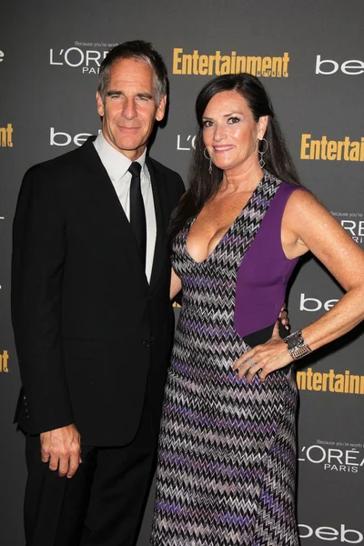 Scott Bakula, Chelsea-Feld — Stockfoto