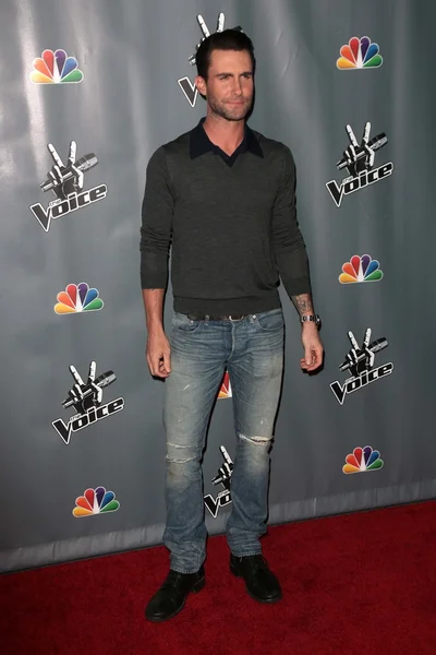 Adam Levine — Stock Photo, Image