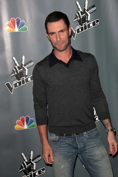 Adam Levine — Stok fotoğraf