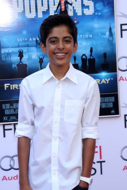 Karan Brar