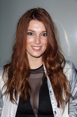 Dani topsakal